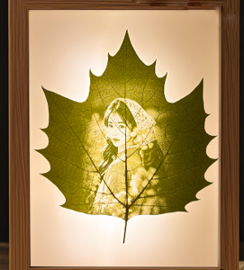 Personalized phoenix tree leaf carving photos art